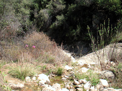 Image Number Seven