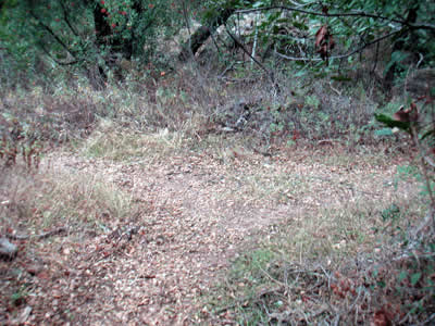 Image Number Nine