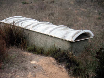 Image Number Two