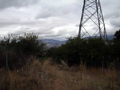 Image Number Three
