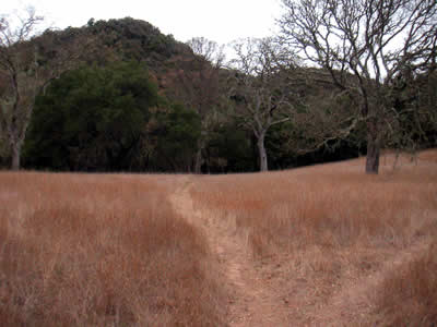 Image Number Seven