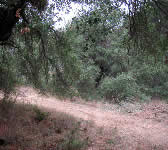 FRE005 Private Inholding