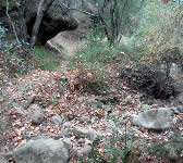 FRE008 Creek crossing