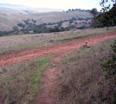 GAV005 Fire road junction