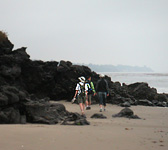 GBO002 Tar point