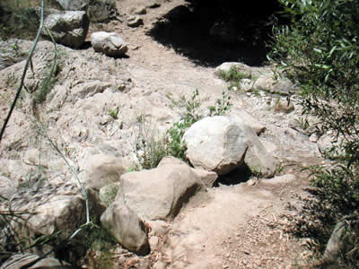 Image Number Seven