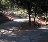 TUN001 Trailhead