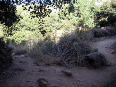 Image Number Two