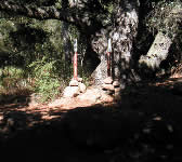 JES006 Arroyo Burro junction