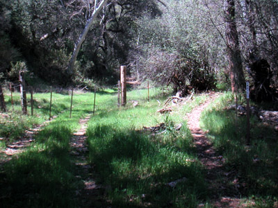 Image Number Seventeen