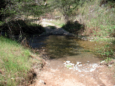 Image Number Nineteen