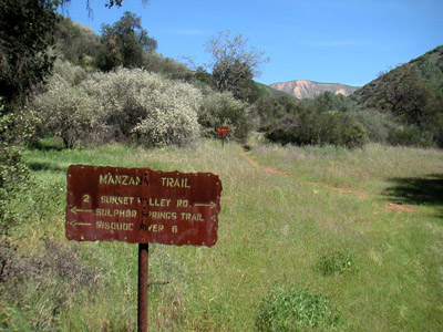 Image Number Four