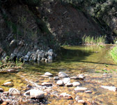MCW014 Junction of creeks