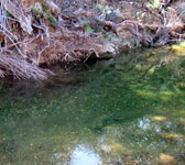 MCW015 Stream crossing