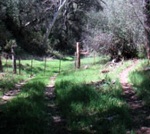 MCW018 Sulphur Springs Rd junction
