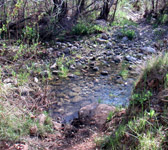 MCW005 Stream Crossing