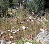 MCW008 Stream crossing
