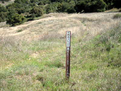 Image Number Four