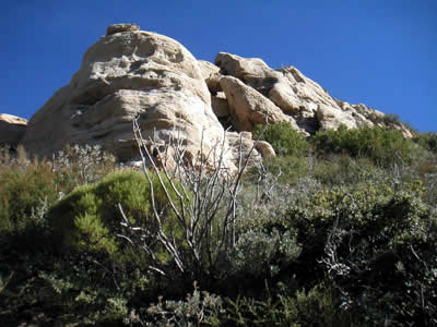 Image Number Five