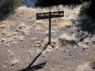 Image Number Nine