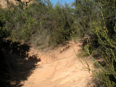 Image Number Ten