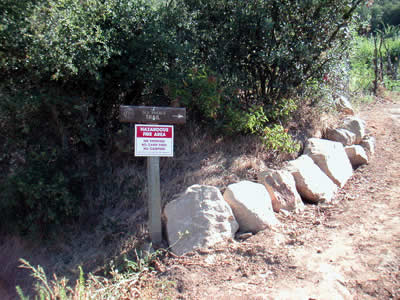 Image Number Three