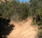 SRT001 Trail junction
