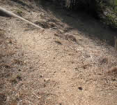 OP004 Wiman trail junction