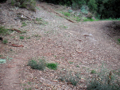 Image Number Nineteen