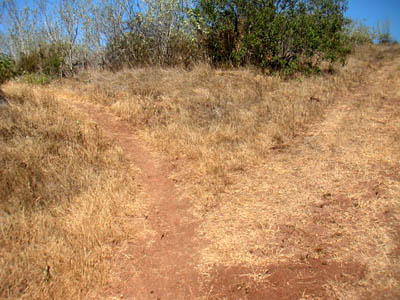 Image Number Seven