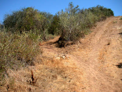 Image Number Nine