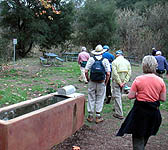 PAR002 Picnic Area