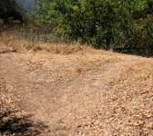 PAR005 Junction
