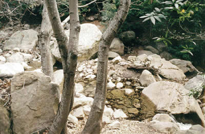 Image Number Ten