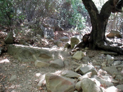 Image Number Fourteen
