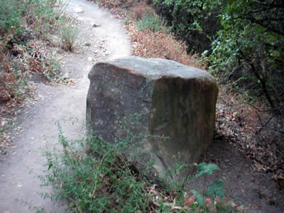 Image Number Sixteen