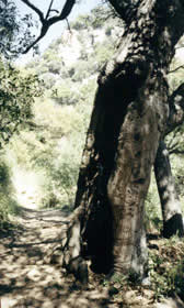 Image Number Nine