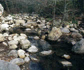 RAT002 Creek Crossing