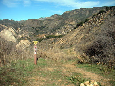 Image Number Three