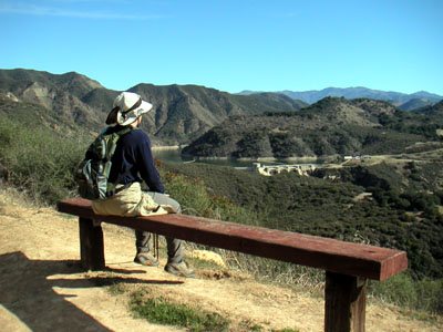 Image Number Four