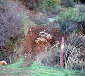 RRT002 Trail junction