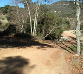 RRT006 Junction with River Road