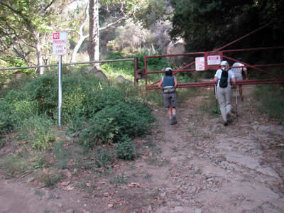 Image Number Two