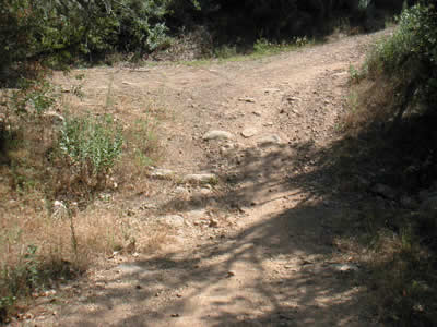 Image Number Four