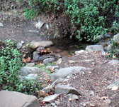 ROM011 Stream crossing