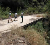 ROM024 Concrete run-off