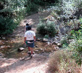 ROM005 Stream crossing