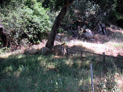 Image Number Three