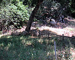 SAC003 End of fence