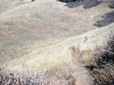 Image Number Sixteen